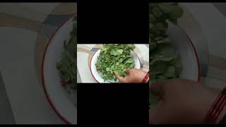 Kasuri Methi banane ka tarika  how to make Kasuri Methi [upl. by Navinod731]