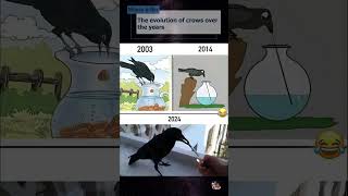 The evolution of crows over the years shorts mouseandbin [upl. by Ardnued]