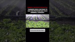 SPRAYING CHEMICAL ON OUR FOODS pesticides [upl. by Clayberg]