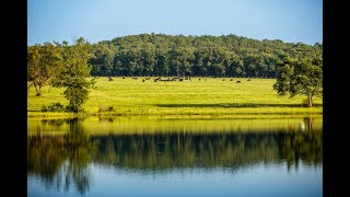 Rolling K Ranch  Smith County Texas Ranch for Sale [upl. by Nayrb396]