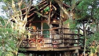 quotEnchanting Tree Fort A Dream Hideaway in Natures Embracequot [upl. by Ludwig]