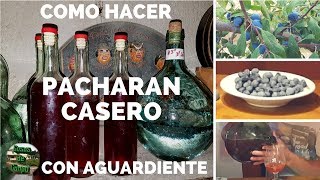 Como hacer pacharan casero receta con aguardiente o vodka [upl. by Hinkel]