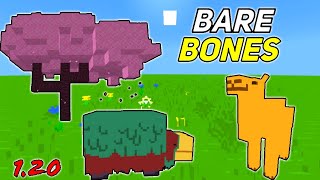 BARE BONES TEXTURE PACK MINECRAFT PE 120 [upl. by Trevethick]