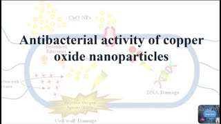 Antibacterial Activity of Copper Oxide Nanoparticles antibacterial nanoparicleskillpathogen [upl. by Jeaz900]