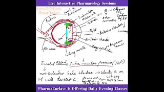 Effect of Timolol on Intraocular Pressure ANS Pharmacology Inaam Ur Rehman PharmaEnclave [upl. by Salisbarry]