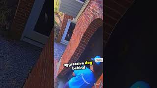 how to get rid of a dogdoorbell doorbellcam interesting [upl. by Hailat]