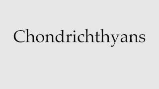 How to Pronounce Chondrichthyans [upl. by Whiting]