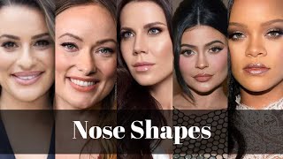 How To Contour Different Nose Types With Examples [upl. by Etnahsa]