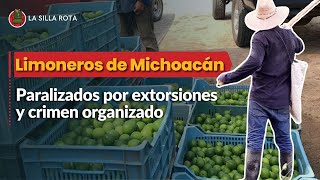 Extorsiones y crimen organizado paralizan producción limoneros de Michoacán [upl. by Elocin]