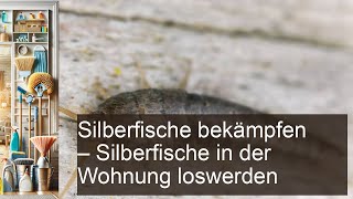 Silberfische bekämpfen Silberfische loswerden Wohnung Cleanipedia DE Cleanipedia Cleanipedia [upl. by Nivart472]