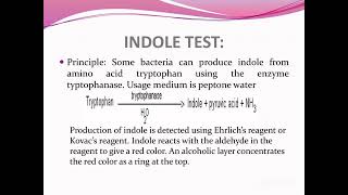 indoletestmicrobiologylistbacteriastudyguide [upl. by Fanni626]