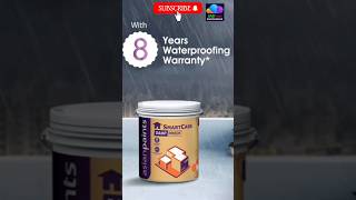 Damp proof  Asian paints Damp proof  asianpaints [upl. by Analah184]