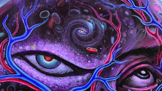 40mg DMT Trip Report The Entities [upl. by Nnayllas417]