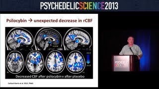 The BeckleyImperial Psychedelic Research Program  David Nutt [upl. by Henke]