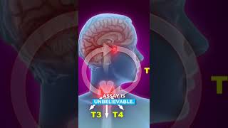 Is the diagnosis of hypothyroidism made clinically or via laboratory testing pt 2 [upl. by Arval148]