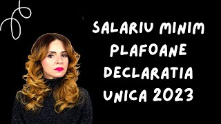 Ce salariu minim folosim la calculul plafoanelor din declaratia unica in 2023 [upl. by Sirmons]