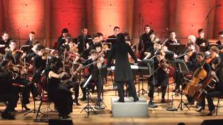 Symphonie No9 Largo  Antonin Dvorak Part 24 [upl. by Hildagard]