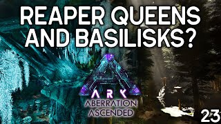 REAPER QUEENS AND BASILISKS  ASA  Stream 23 [upl. by Nanyt]