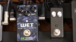 Neunaber Stereo Wet Reverb Demo [upl. by Bandur916]