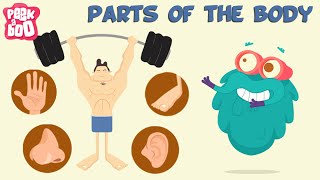 Parts Of The Body  The Dr Binocs Show  Learn Videos For Kids [upl. by Sefton]