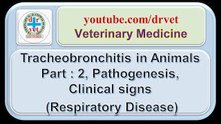 Tracheobronchitis in Animals  Part  2  pathogenesis clinical findings [upl. by Akihsal]