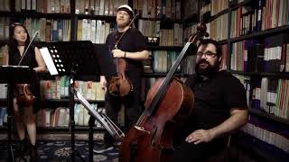 Vitamin String Quartet  Full Session  8152017  Paste Studios  New York NY [upl. by Yks]