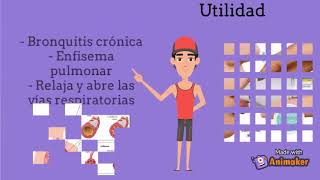 Video Farmacología  Medicamento Bromuro de Tiotropio [upl. by Rhodia986]