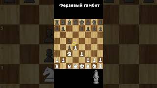 Ферзевый гамбит chess шахматы ловушка [upl. by Hsital]