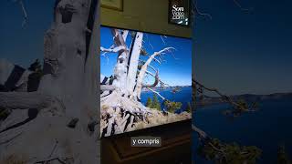 Test du téléviseur UHD 4K Hisense 65UXKQ [upl. by Mendy820]