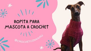 CÓMO TEJER UNA ROPITA A CROCHET PARA TU MASCOTA  CROCHET CON KARU [upl. by Yelats]