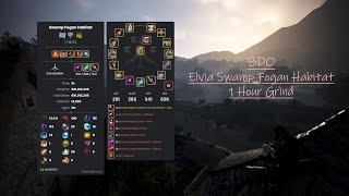 BDO Swamp Fogan Habitat 1 Hour Grind [upl. by Weigle849]