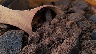 Do Coffee Grounds Work as a Soil Amendment [upl. by Ahsinnek397]