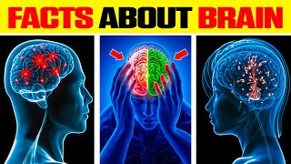 10 MindBlowing Facts About the Brain You Didnt Know [upl. by Eekram]