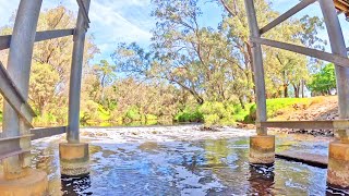 Scenic Dabs amp Kayaking The Murray River  Fly High Adventures [upl. by Camile308]