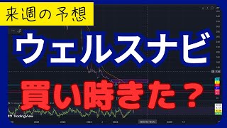 【ウェルスナビ 分析】買うタイミングきた？ [upl. by Amsa]