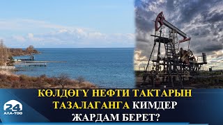 Көлдөгү нефти тактарын тазалаганга кимдер жардам берет [upl. by Frederica]