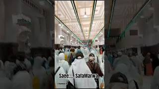 Saeesafamarwah hajj2024 hajjmemories Saee in umrah [upl. by Yoshiko]