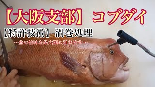 【コブダイ】これぞ神経抜き！魚の旨味を引き出す！特許技術！渦巻処理！ [upl. by Rebecca]