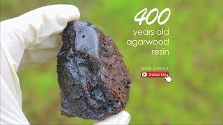 Agarwood Resin  Original 400 Years Old [upl. by Ahsikyw]