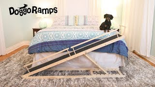 Introducing DoggoRamps  The Small Dog Bed Ramp [upl. by Tanitansy]