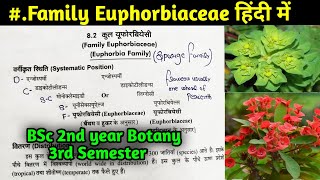 Family Euphorbiaceae in Hindi  BSc 2nd year Botany Third Semester [upl. by Iover179]