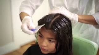 Full Service Lice Removal Treatment  Lice Clinics of America [upl. by Garibull]