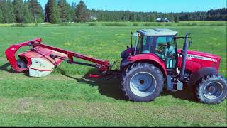 Grass Harvesting 2020 Finland [upl. by Bak]