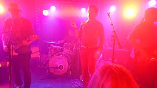 The Fauves Dogs are the best people Republic Bar nipaluna Hobart Friday November 15 2024 [upl. by Hellah860]