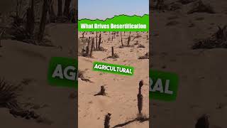 What Drives Desertification [upl. by Bowyer]