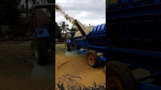 Paddy thresher machine cropthresherrice shortsyoutubevideo [upl. by Weaver]