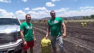 Dmitry Klokov amp Igor Zaripov  quotPotato Challengequot [upl. by Attaynek]