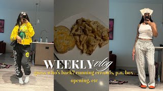 WEEKLY VLOG  guess whos back  po box opening  running errands  etc [upl. by Maurie]