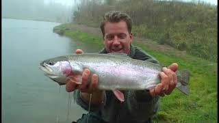 FISH M Fly Fishing Salvelinus and Salmon in Simrishamn Sweden Fiskedrag S03E08 [upl. by Hammock317]