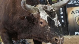 Bushwacker posts 4625 points vs Agnaldo Cardozo at PBR World Finals [upl. by Eelsew745]